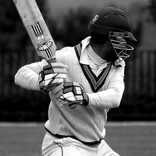 Cricket