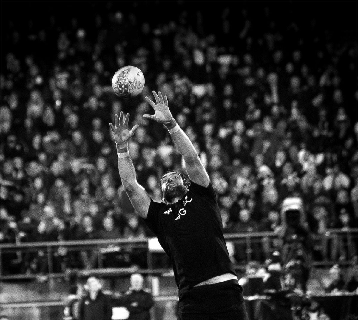 Gripped All Blacks Rugby